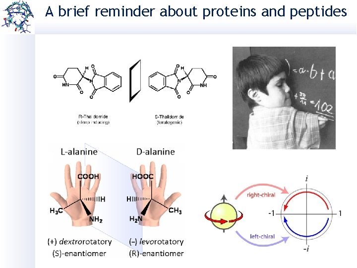 A brief reminder about proteins and peptides 