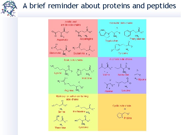 A brief reminder about proteins and peptides 