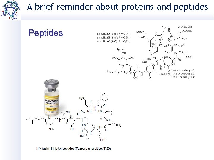 A brief reminder about proteins and peptides Peptides 