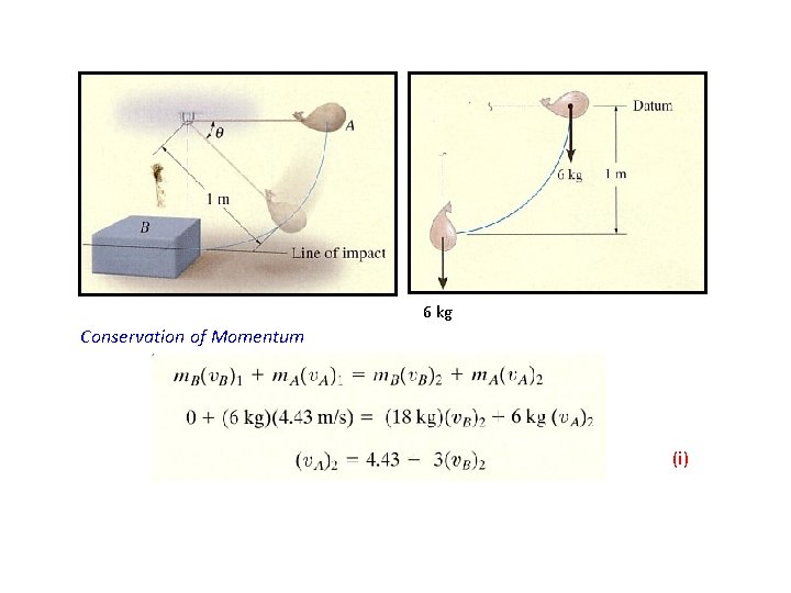 6 kg Conservation of Momentum (i) 