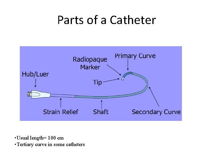 Parts of a Catheter • Usual length= 100 cm • Tertiary curve in some