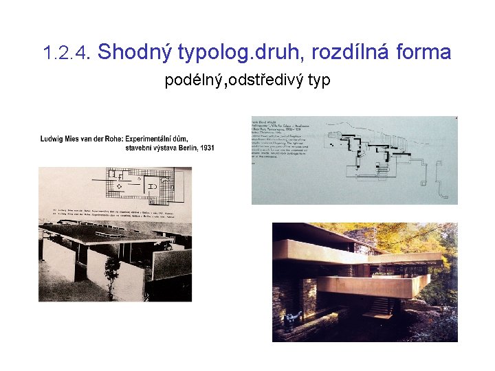 1. 2. 4. Shodný typolog. druh, rozdílná forma podélný, odstředivý typ 