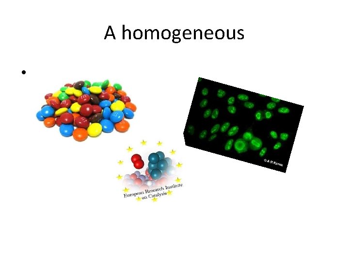A homogeneous • 