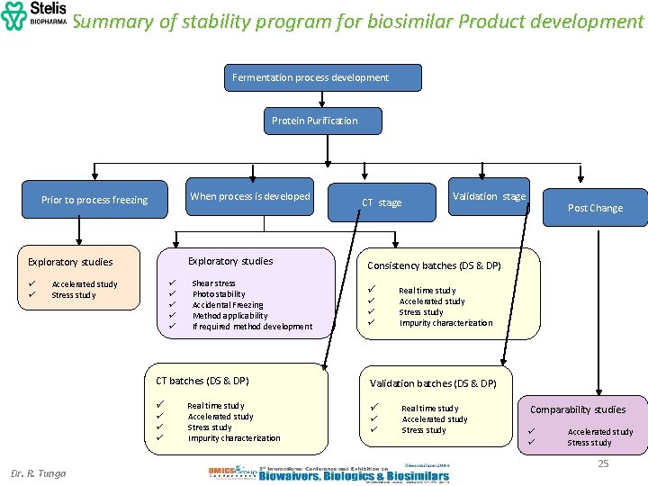 Summary of stability program for biosimilar Product development Fermentation process development Protein Purification When