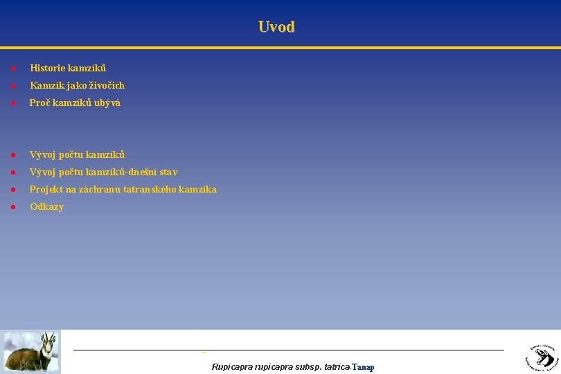 Uvod l Historie kamzíků l Kamzík jako živočich l Proč kamzíků ubývá l Vývoj