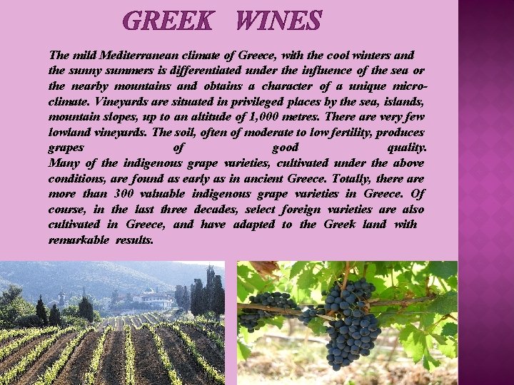 GREEK WINES The mild Mediterranean climate of Greece, with the cool winters and the