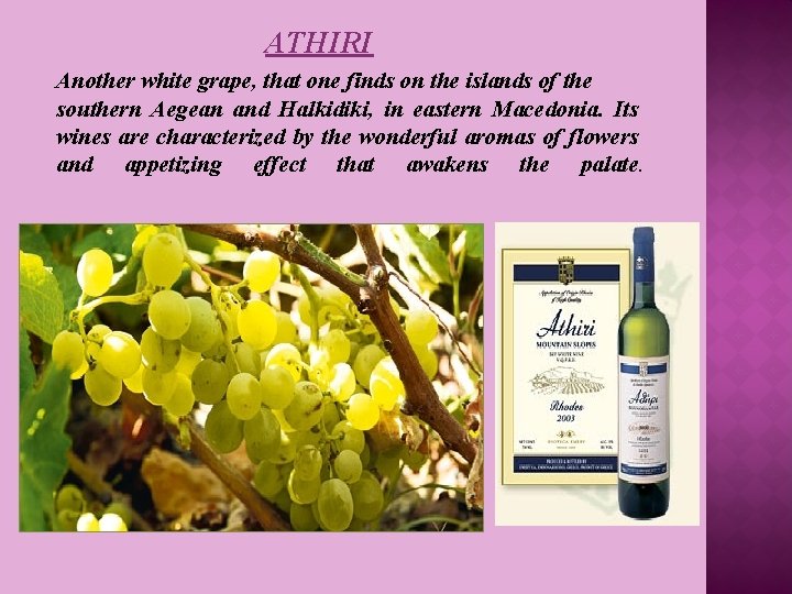 ATHIRI Another white grape, that one finds on the islands of the southern Aegean