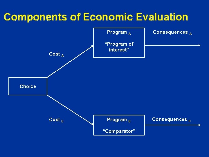 Components of Economic Evaluation Program A Cost A Consequences A “Program of interest” Choice