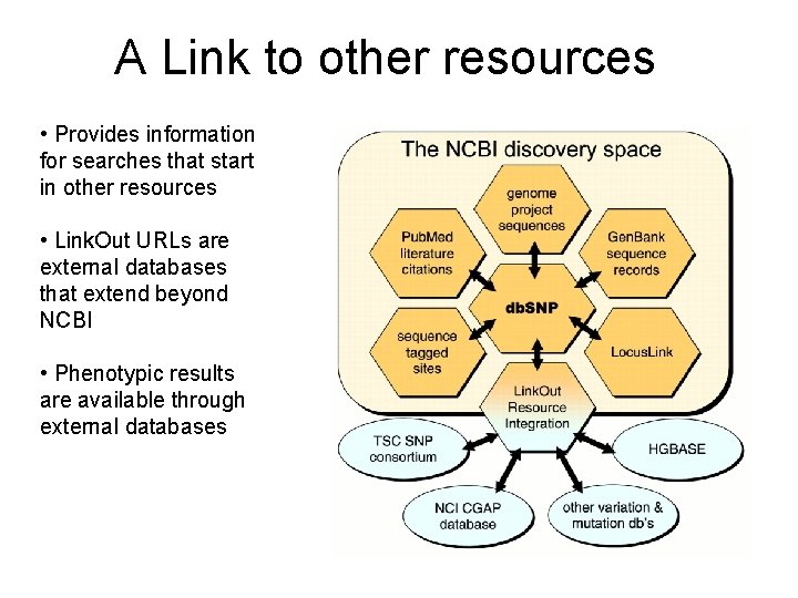 A Link to other resources • Provides information for searches that start in other