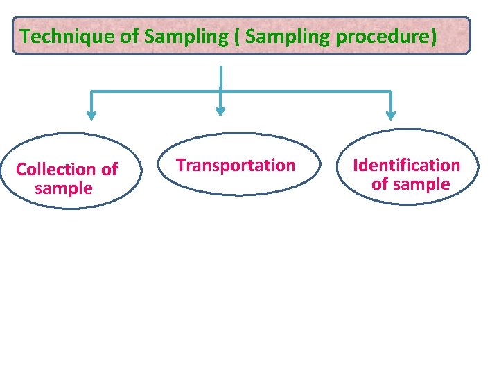 Technique of Sampling ( Sampling procedure) Collection of sample Transportation Identification of sample 