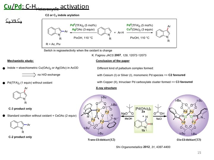 Cu/Pd: C-HHeterocycle activation C 2 vs C 3 15 