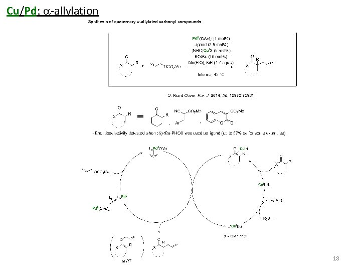 Cu/Pd: a-allylation 18 