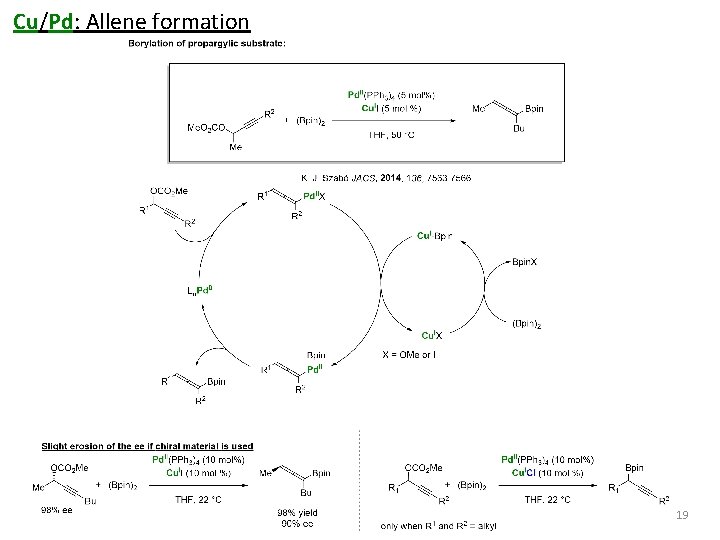 Cu/Pd: Allene formation 19 