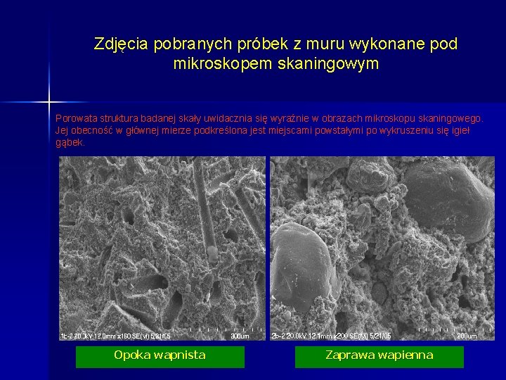 Zdjęcia pobranych próbek z muru wykonane pod mikroskopem skaningowym Porowata struktura badanej skały uwidacznia