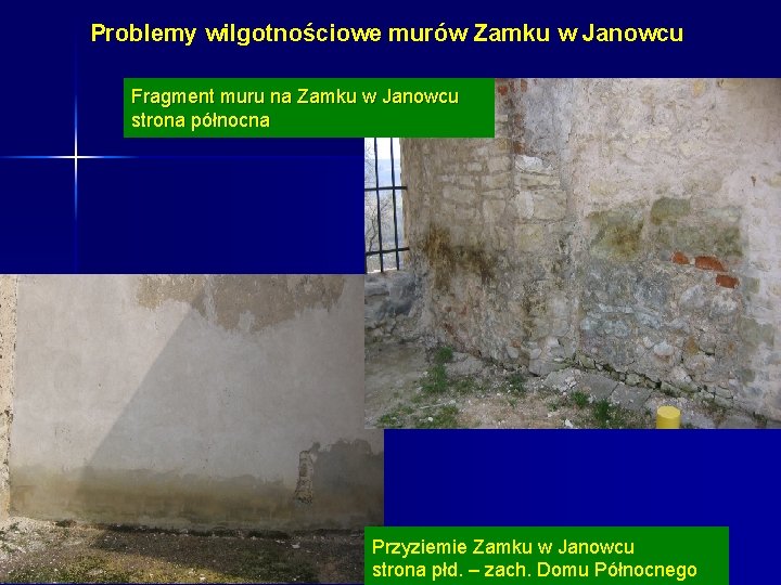 Problemy wilgotnościowe murów Zamku w Janowcu Fragment muru na Zamku w Janowcu strona północna