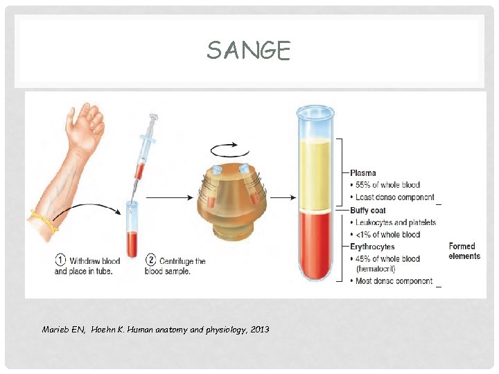 SANGE Marieb EN, Hoehn K. Human anatomy and physiology, 2013 