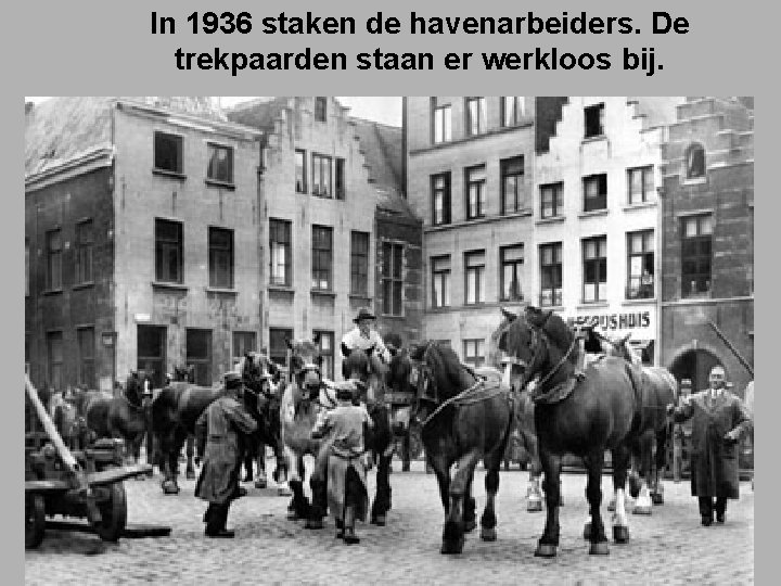 In 1936 staken de havenarbeiders. De trekpaarden staan er werkloos bij. 