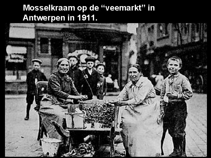 Mosselkraam op de “veemarkt” in Antwerpen in 1911. 