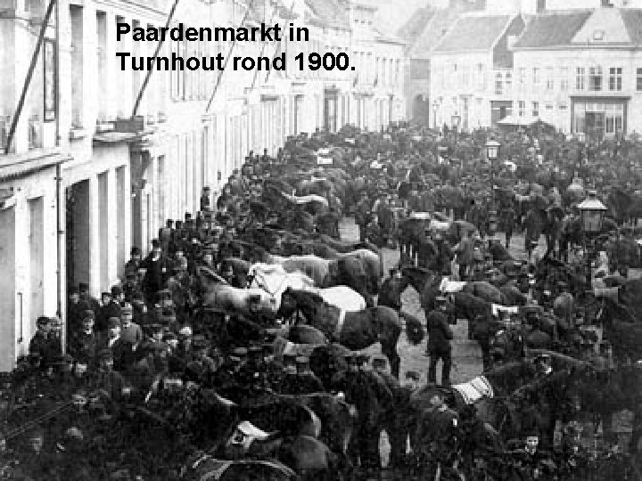 Paardenmarkt in Turnhout rond 1900. 