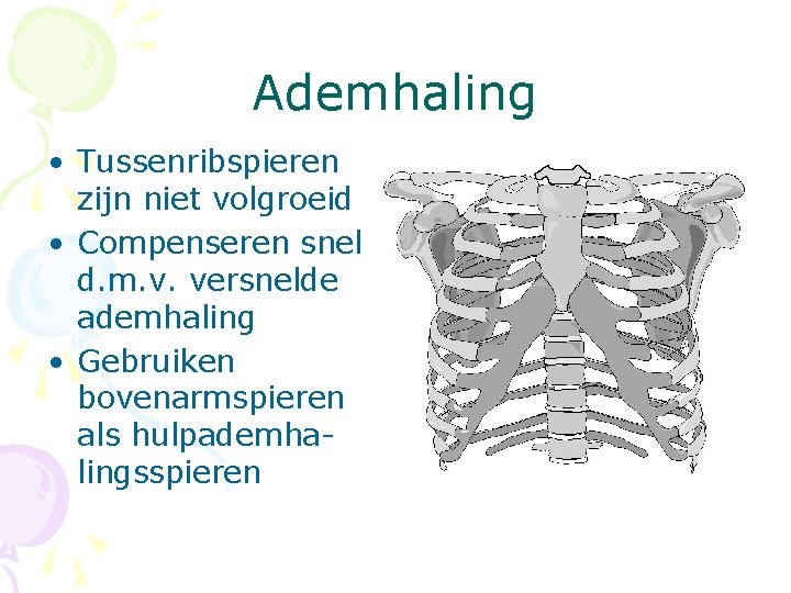 Ademhaling • Tussenribspieren zijn niet volgroeid • Compenseren snel d. m. v. versnelde ademhaling