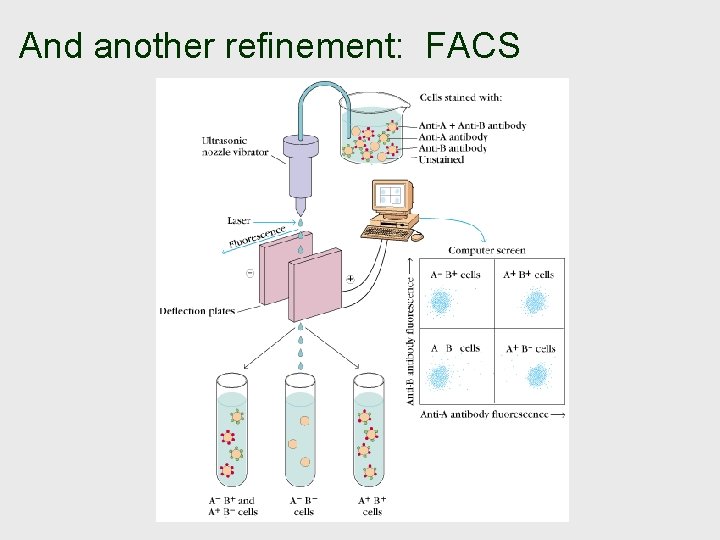 And another refinement: FACS 