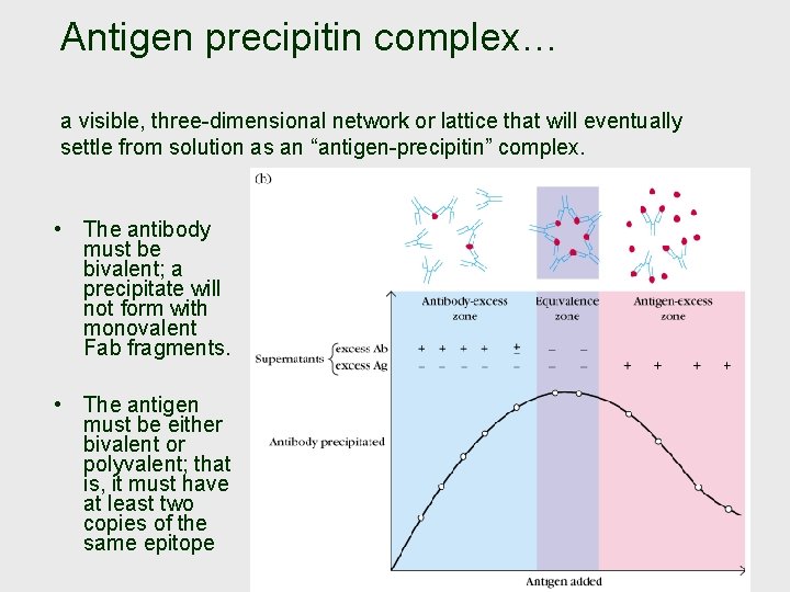 Antigen precipitin complex… a visible, three-dimensional network or lattice that will eventually settle from