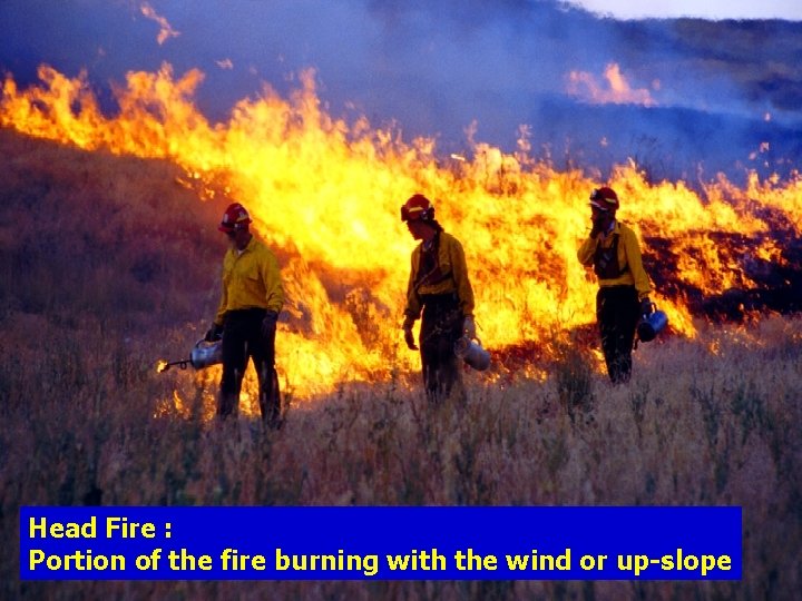 Head Fire : Portion of the fire burning with the wind or up-slope 