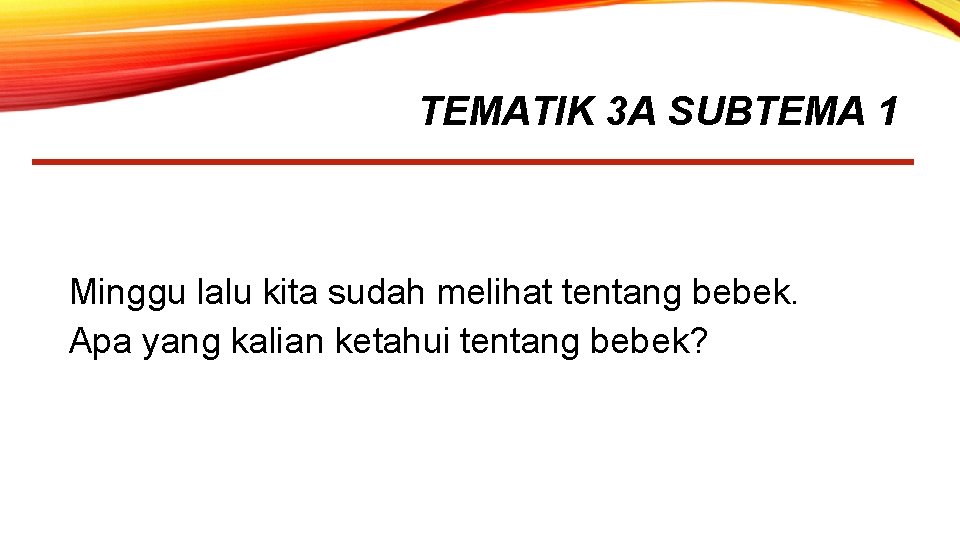 TEMATIK 3 A SUBTEMA 1 Minggu lalu kita sudah melihat tentang bebek. Apa yang