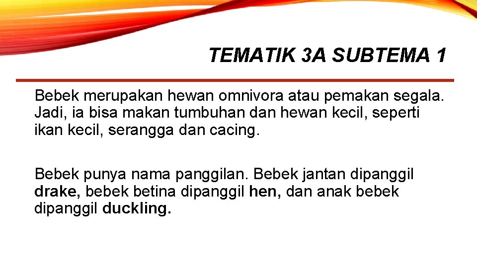 TEMATIK 3 A SUBTEMA 1 Bebek merupakan hewan omnivora atau pemakan segala. Jadi, ia