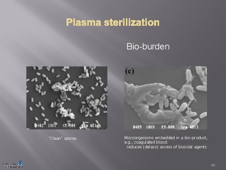 Plasma sterilization Bio-burden "Clean" spores Microorganisms embedded in a bio-product, e. g. , coagulated