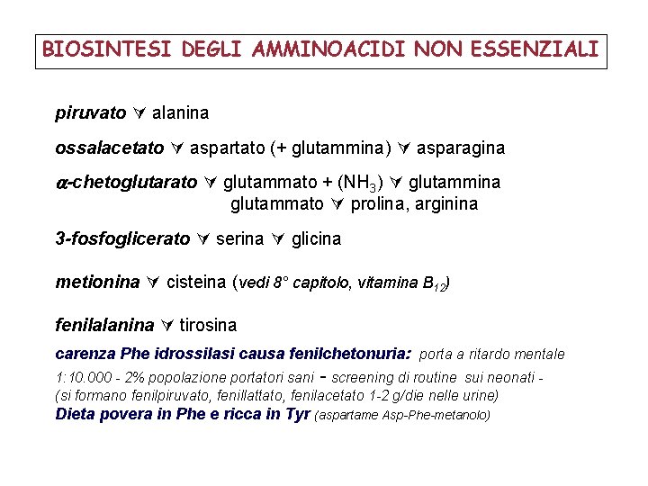 BIOSINTESI DEGLI AMMINOACIDI NON ESSENZIALI piruvato alanina ossalacetato aspartato (+ glutammina) asparagina -chetoglutarato glutammato