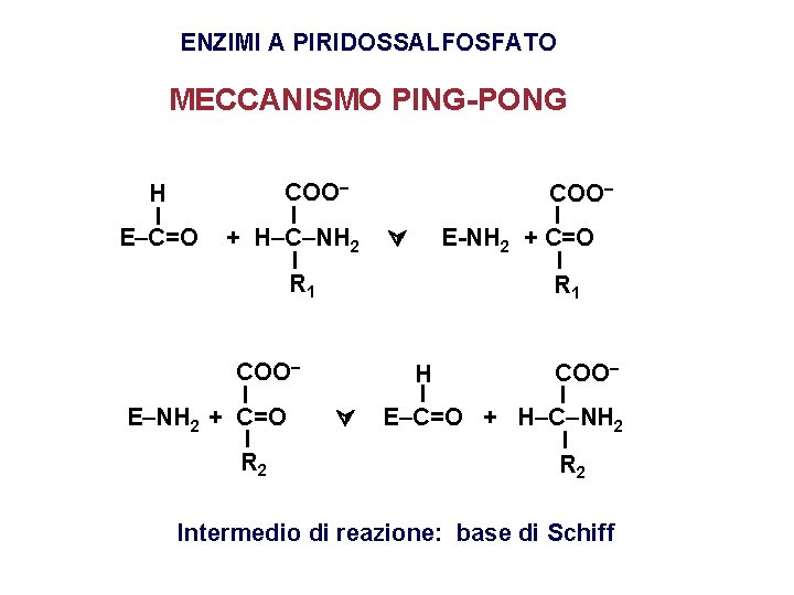 ENZIMI A PIRIDOSSALFOSFATO MECCANISMO PING-PONG H I E–C=O COO– I + H–C–NH 2 I