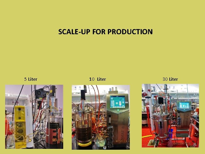 SCALE-UP FOR PRODUCTION 5 Liter 10 Liter 30 Liter 