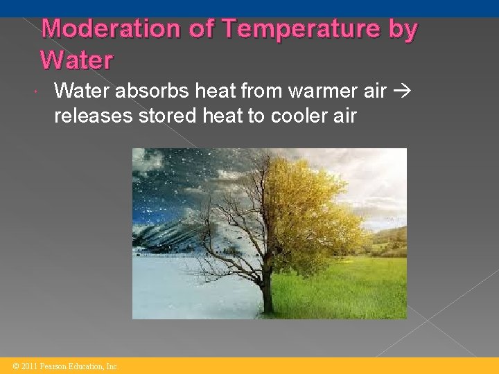 Moderation of Temperature by Water absorbs heat from warmer air releases stored heat to