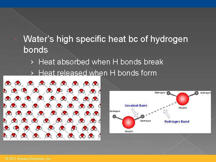  Water’s high specific heat bc of hydrogen bonds › Heat absorbed when H