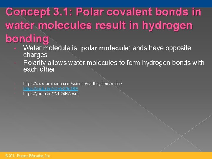 Concept 3. 1: Polar covalent bonds in water molecules result in hydrogen bonding •