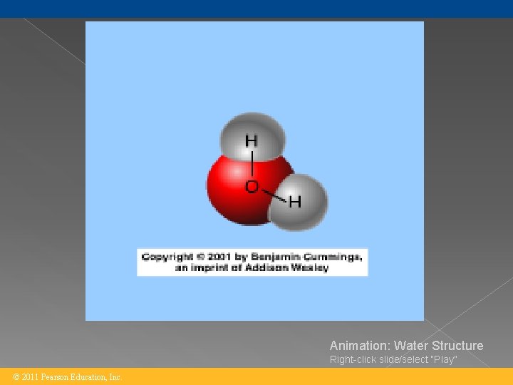 Animation: Water Structure Right-click slide/select “Play” © 2011 Pearson Education, Inc. 