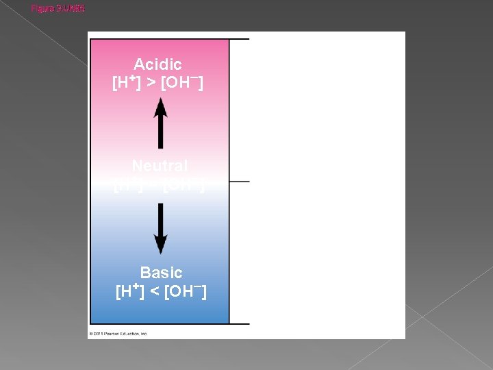 Figure 3. UN 05 0 Acidic [H+] > [OH ] Neutral [H+] = [OH