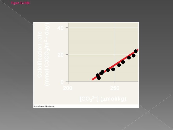 Calcification rate (mmol Ca. CO 3/m 2 • day) Figure 3. UN 06 40