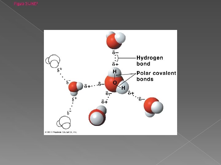 Figure 3. UN 07 