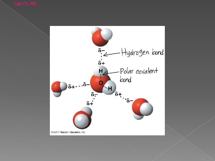 Figure 3. UN 08 