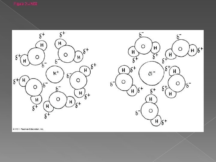 Figure 3. UN 09 