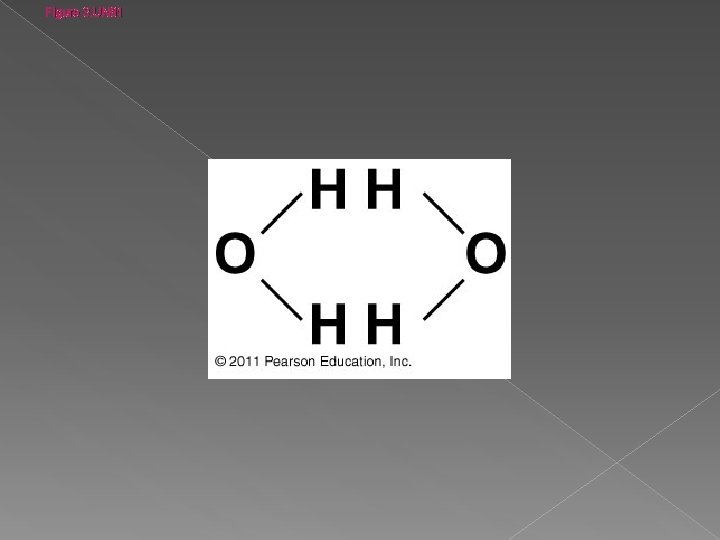 Figure 3. UN 01 