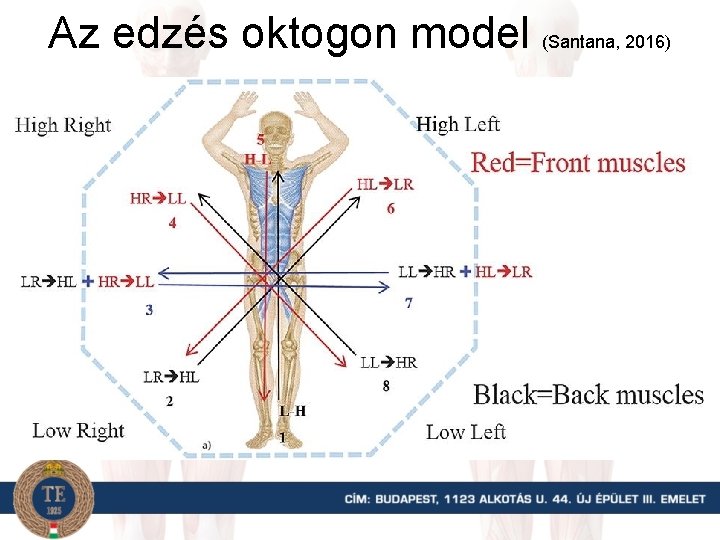 Az edzés oktogon model (Santana, 2016) 