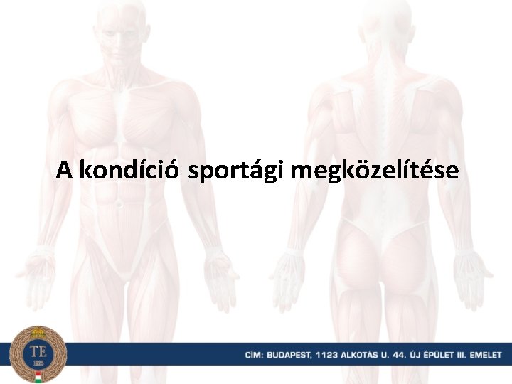 A kondíció sportági megközelítése 