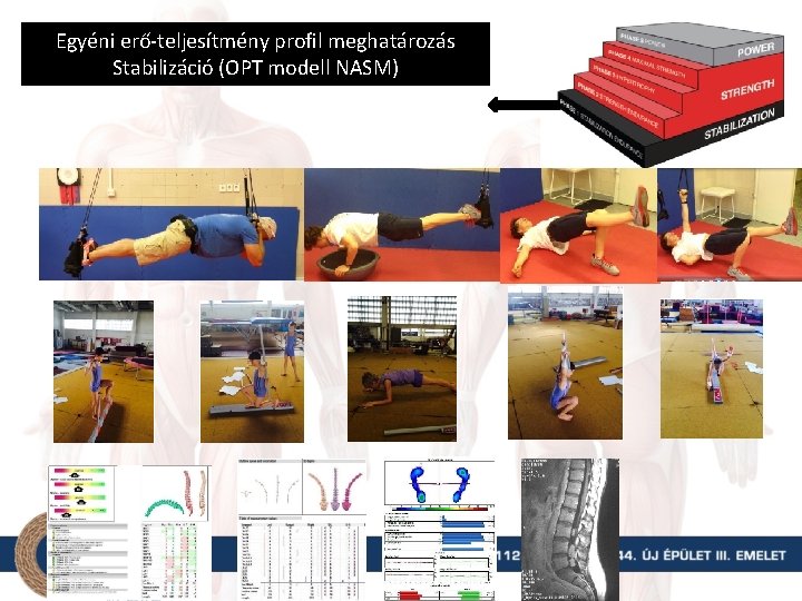 Egyéni erő-teljesítmény profil meghatározás Stabilizáció (OPT modell NASM) 