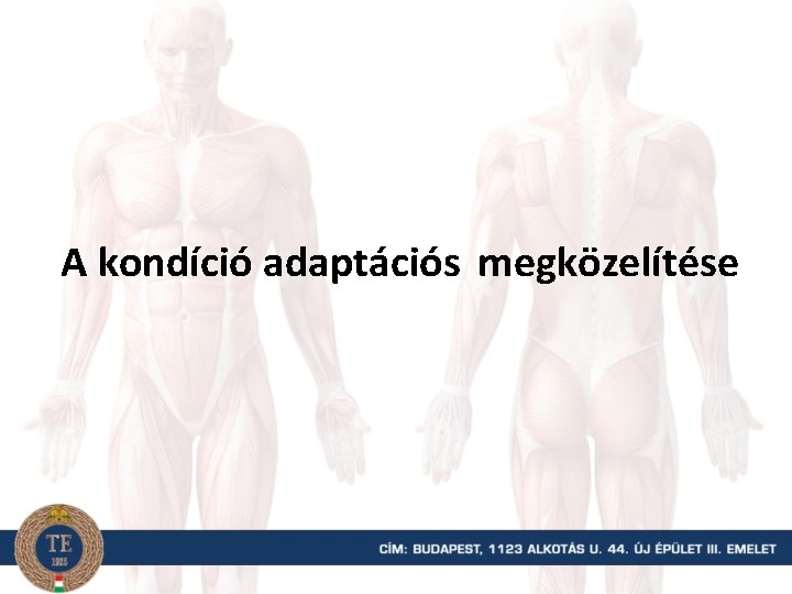 A kondíció adaptációs megközelítése 