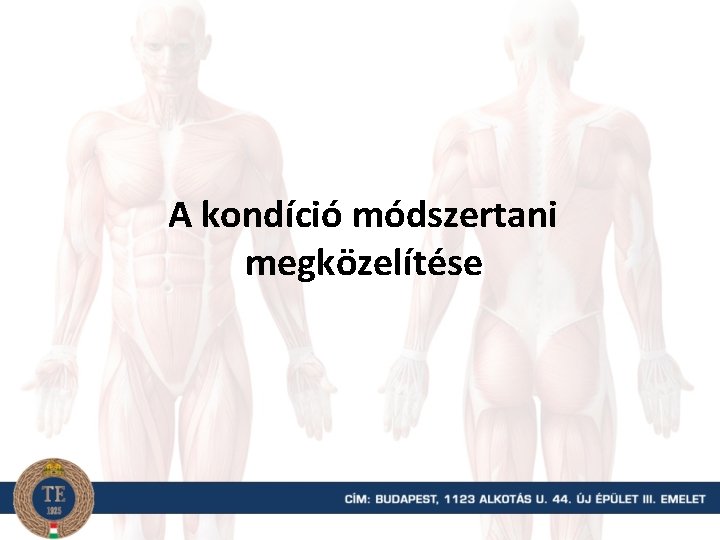 A kondíció módszertani megközelítése 