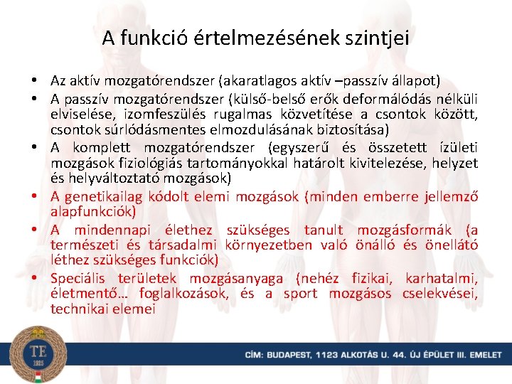 A funkció értelmezésének szintjei • Az aktív mozgatórendszer (akaratlagos aktív –passzív állapot) • A