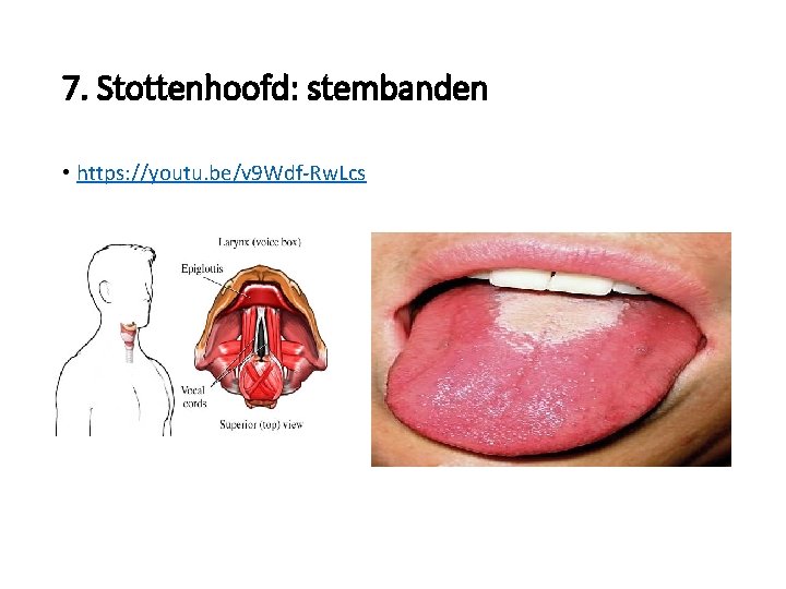 7. Stottenhoofd: stembanden • https: //youtu. be/v 9 Wdf-Rw. Lcs 